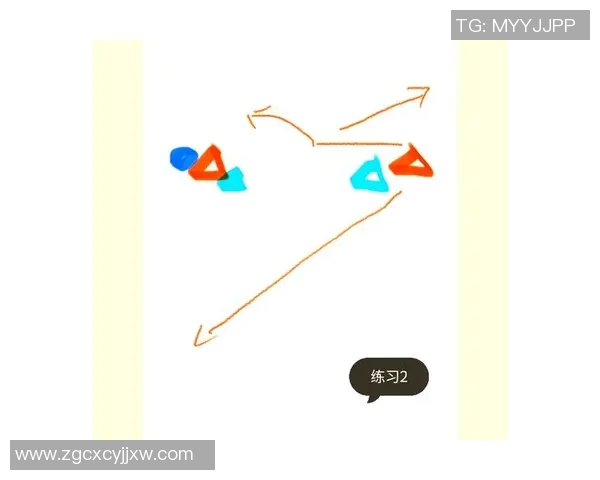 上海飞盘队区域防守分析与战术调整探讨