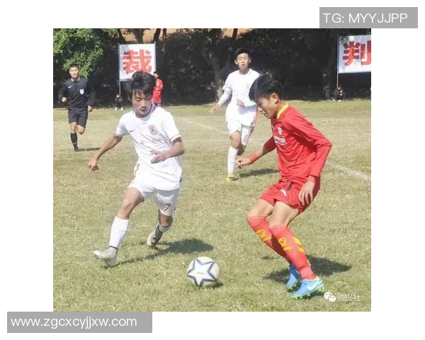 世界锦标赛特别报道：成都篮球队拼搏历程与荣耀时刻的全景回顾