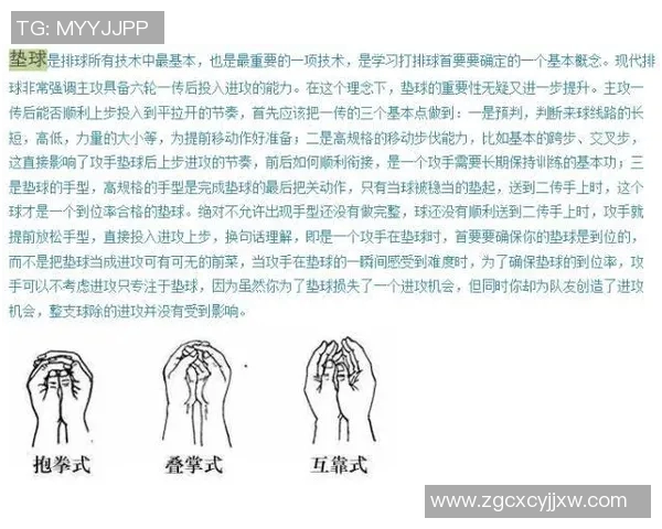 南京排球队引领最新排球战术十大趋势解析与应用分享